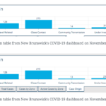 COVID update: nine new cases under investigation