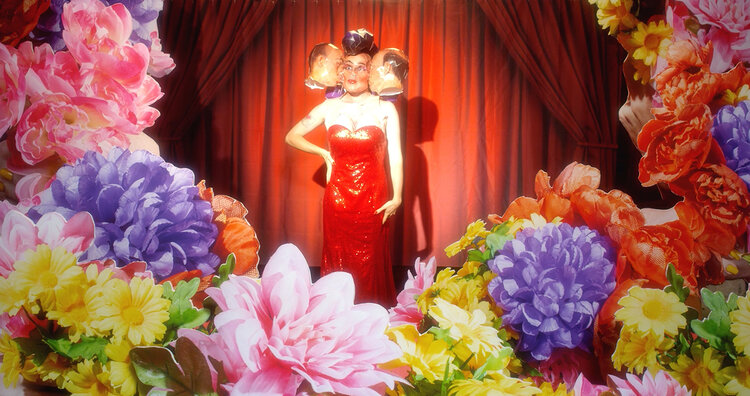 Seamus Gallagher stands in a spotlight on a stage with red curtains. They are wearing a red dress and a prosthetic mask with large ears. There are flowers surrounding the image of Seamus.