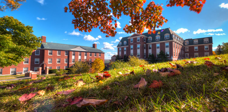 A picture of the campus of University of New Brunswick in Fredericton with fall leaves on the ground.