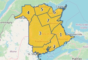 A map of New Brunswick divided up into COVID-19 zones, which are all yellow.