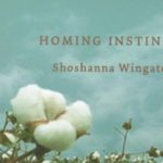 Trauma, connection, and care: Shoshanna Wingate on the power of poetry