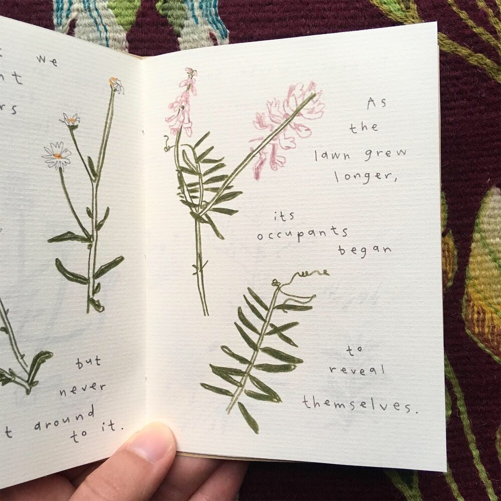 A page of a small zine with hand drawn pencil crayon flowers.