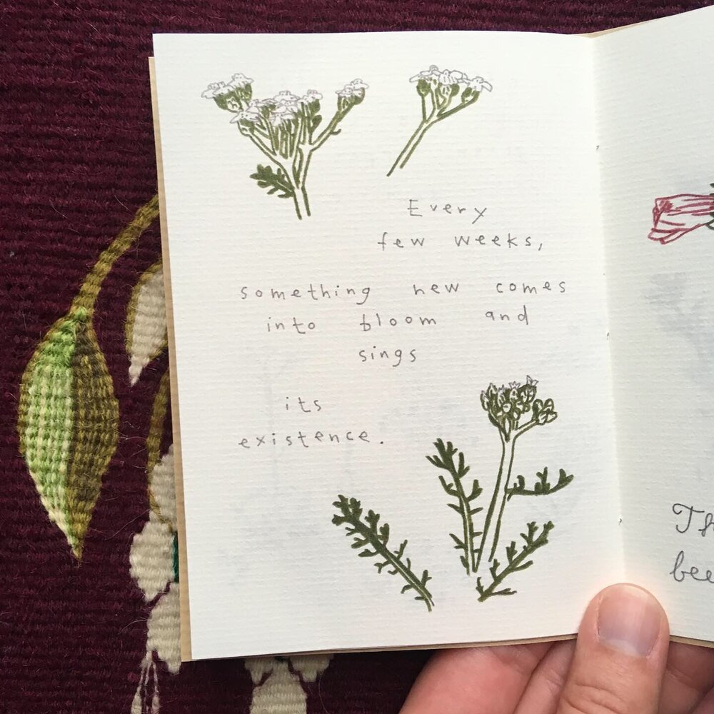 A page of a small zine with hand drawn pencil crayon flowers.