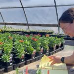 The Check-In: Anderson’s Greenhouse says “pandemic gardening” is not a passing trend