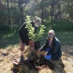 Three Tantramar schools now home to ‘food forests’