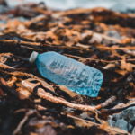 Sackville ditches (most) single use plastics in advance of federal regulation