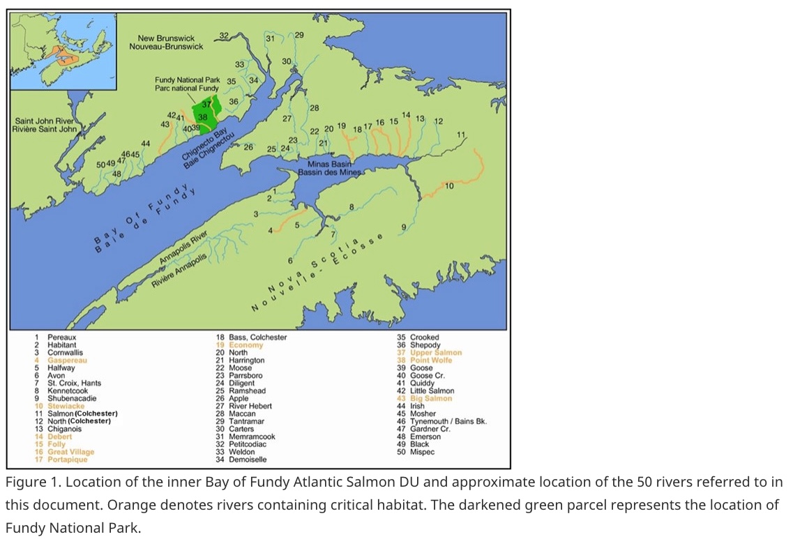 A map of New Brunswick and part of Nova Scotia. Roughly 50 rivers and indicated, along with an outline for the inner Bay of Fundy area, including Chignecto Bay and Minas Basin. 