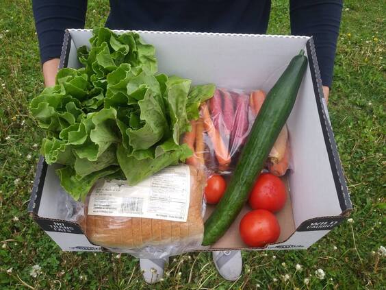 A person holds a cardboard box with bread, lettuce, a cucumber, tomatoes, and carrots in it.