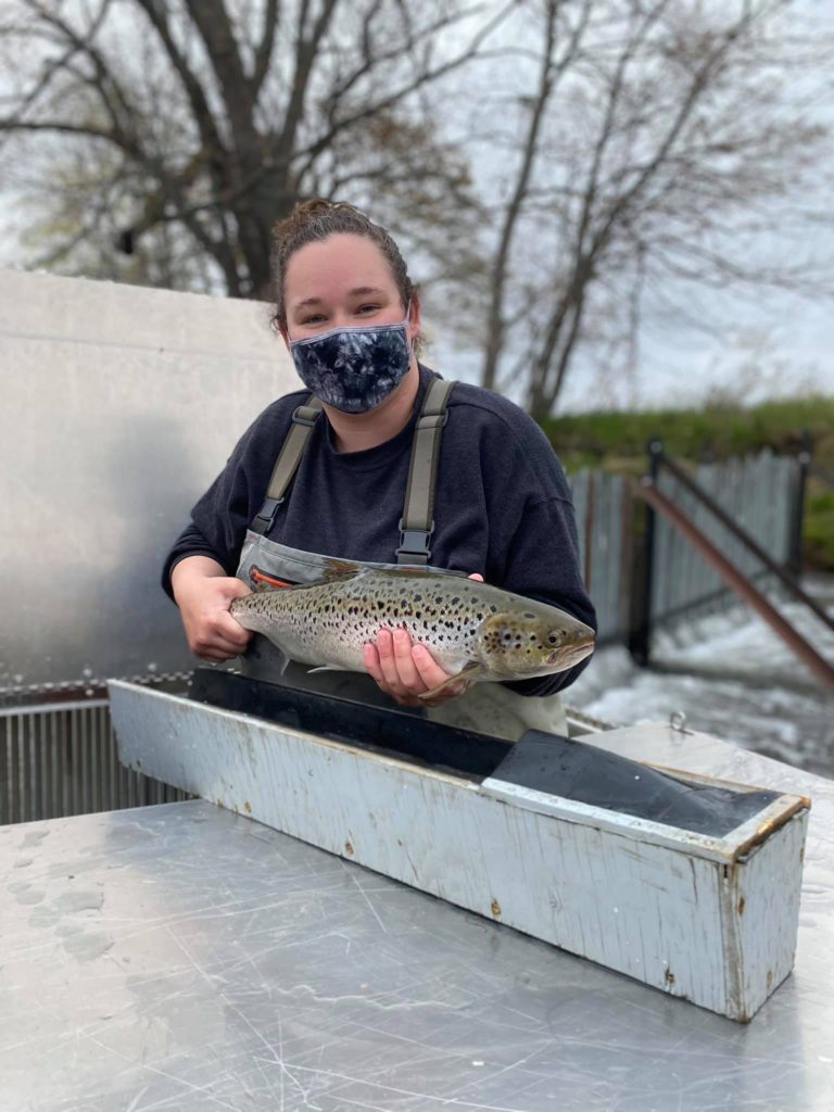 A woman holding an adult salmon.