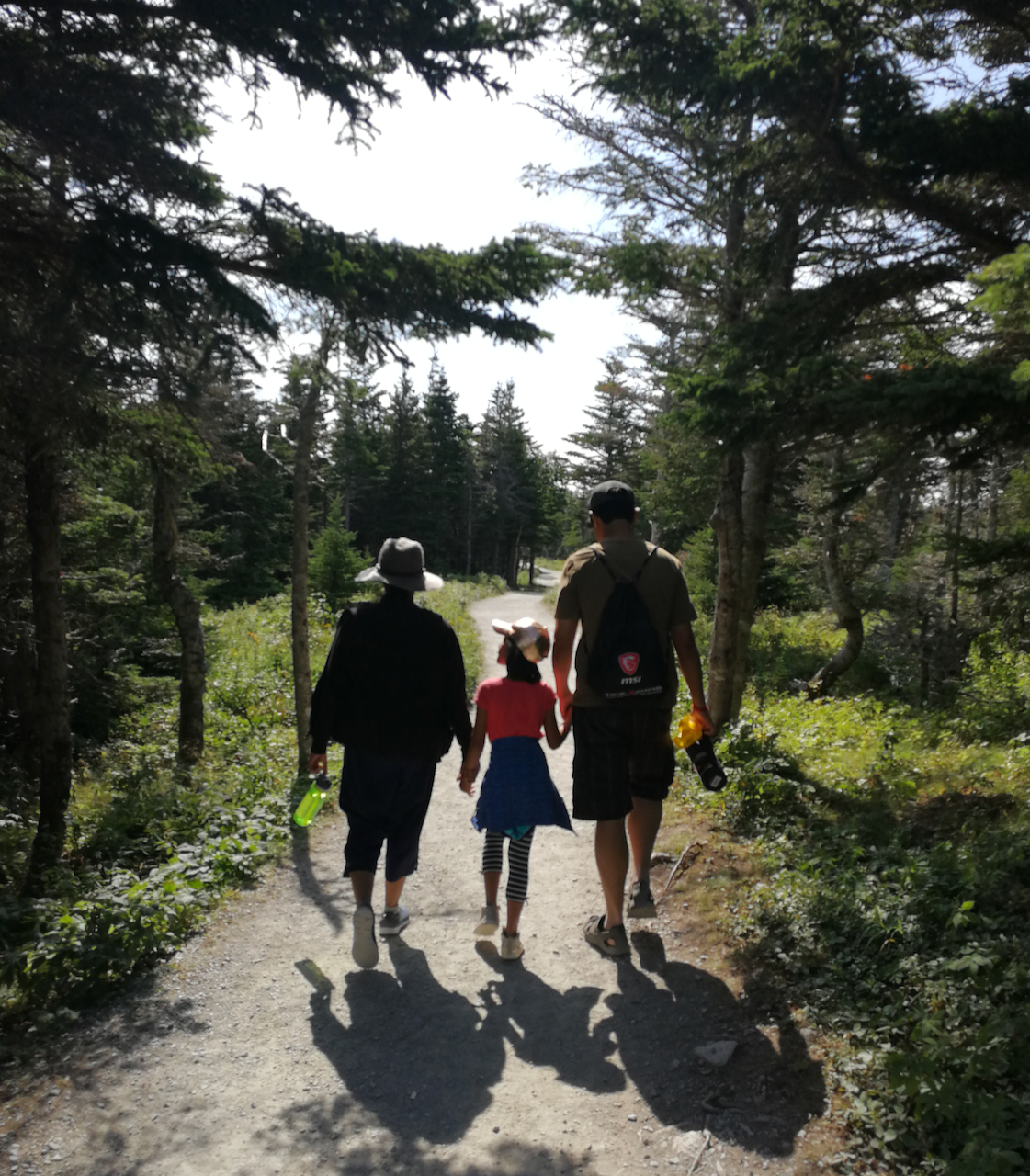 A woman, child and man holding hands walking along a wooded trail.