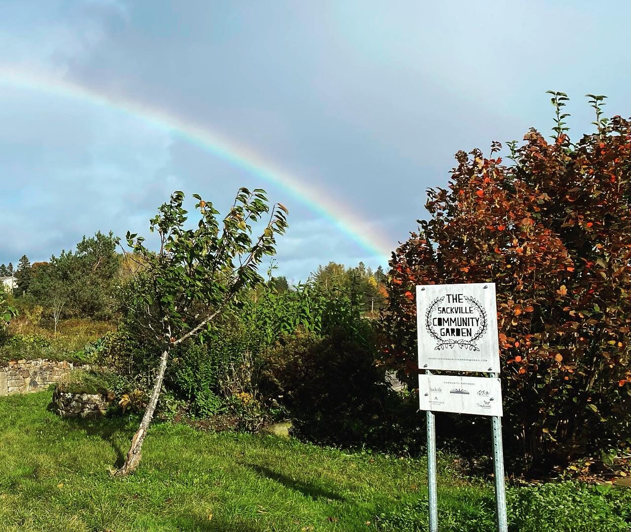 The gardening gloves are off at the Sackville Community Garden